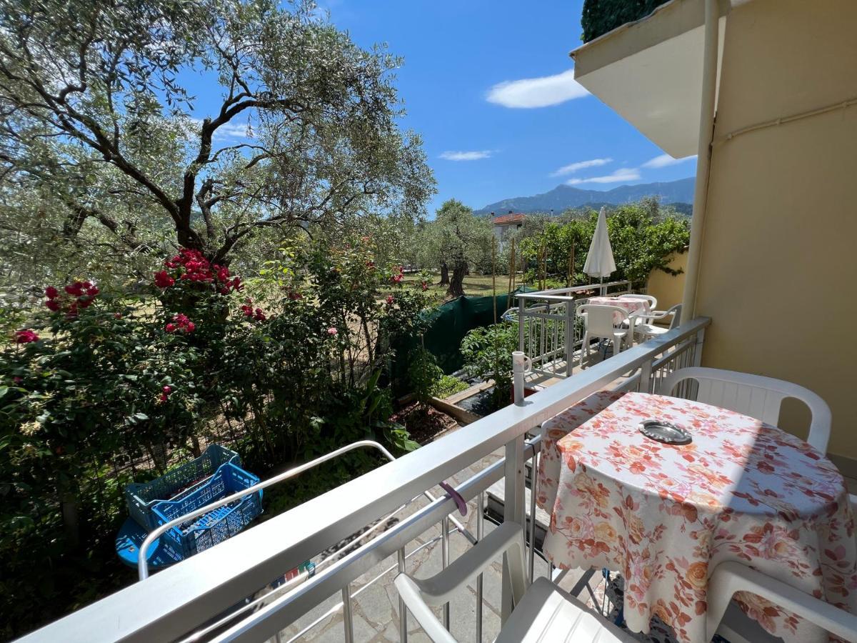 Villa Eleni - Thassos Town Экстерьер фото